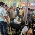 ईद-उल-अजहा आज, बाजार में रही रौनक, तैयारियां मुकम्मल